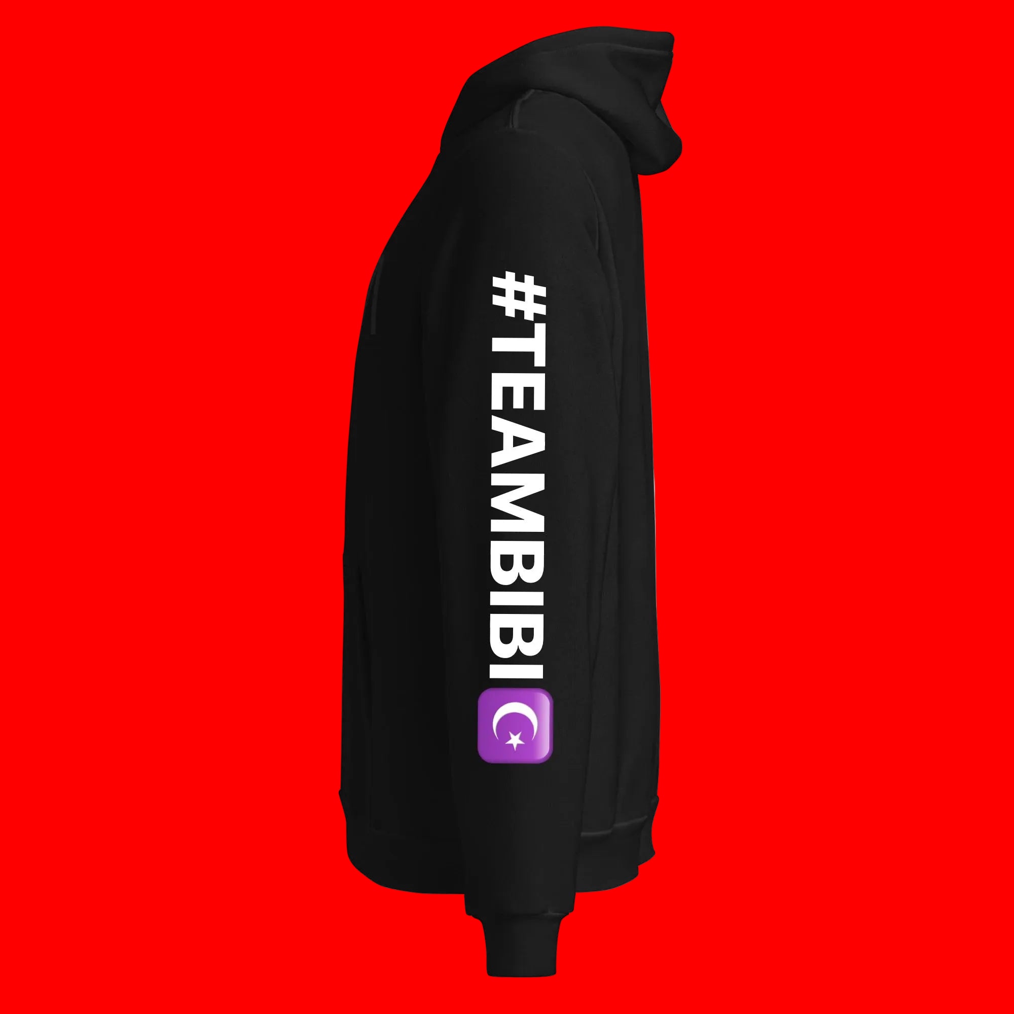 Team BIBI