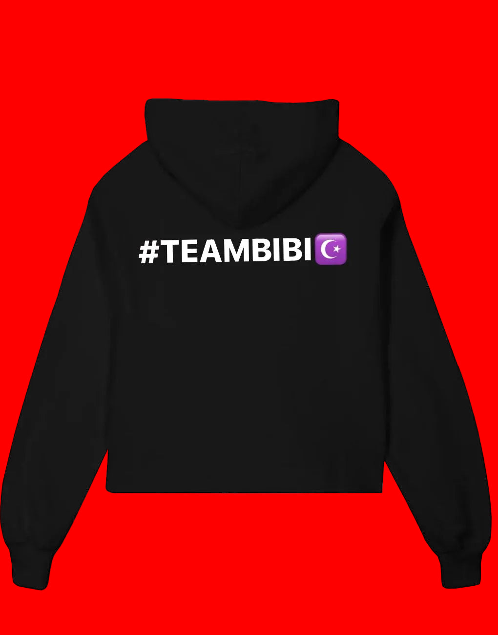 Team BIBI