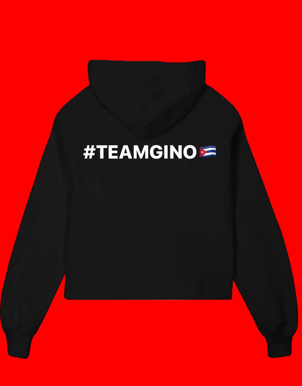 Team GINO